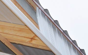 why Warden Point fascia repairs are essential