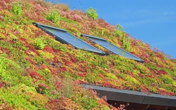 Warden Point living roof systems