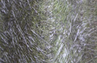 Warden Point fibreglass roof work